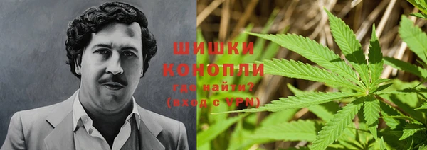 PSILOCYBIN Абинск