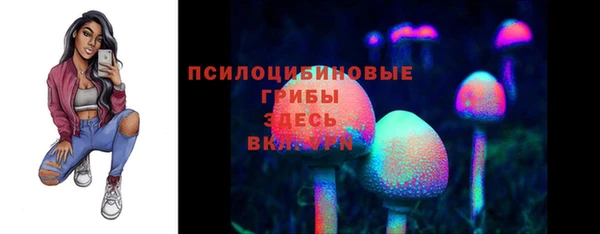 ГАЛЛЮЦИНОГЕННЫЕ ГРИБЫ Абдулино