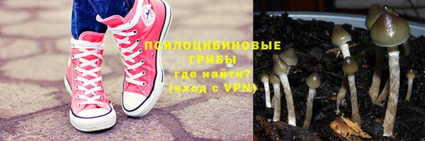 PSILOCYBIN Абинск